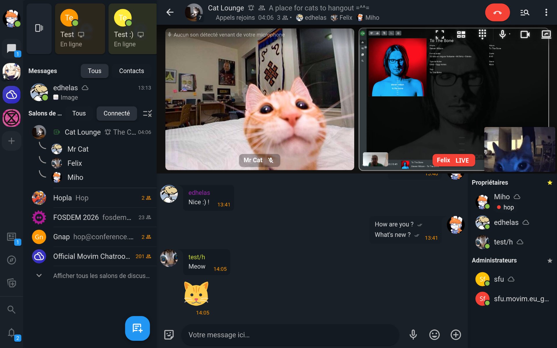 Video call screenshot