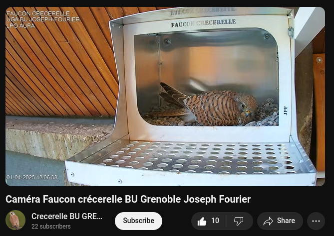 https://upload.movim.eu/files/9d94237298995552fa13436420195fbca436dce7/bE3mJRaAmrQt/chat_image.png